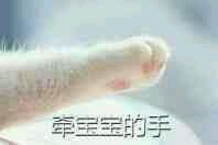 想牵你的手表情包合集