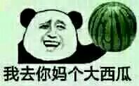 你个小西瓜表情包合集来啦