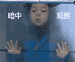 自带吃货属性的宋民国QQ表情包来啦