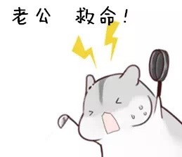 可爱仓鼠表情包合集，聊天斗图超好用