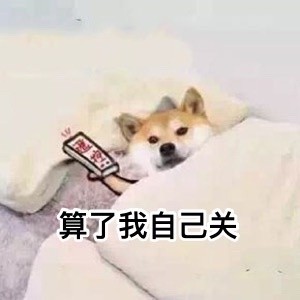 要说汪星人里最讨喜的，还得是doge