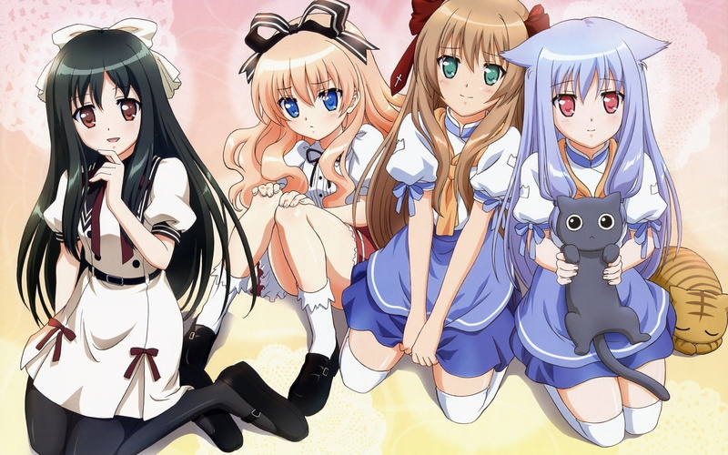 1080P高清动漫壁纸合集：兽娘角色与萌猫元素
