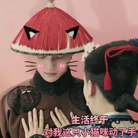 延禧攻略热门斗图表情包合集