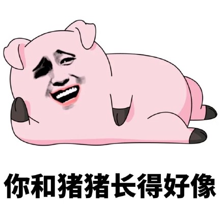 这套猪猪表情包，主打一个“不关猪猪的事”