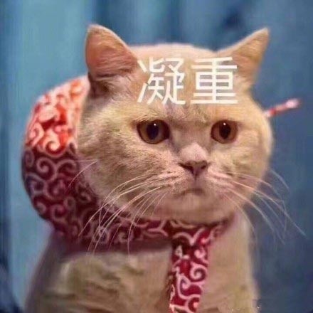 撸猫党狂喜！这套喵星人萌系表情包直接戳中心窝子