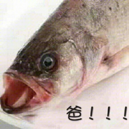 鱼头版喊人表情包来啦！