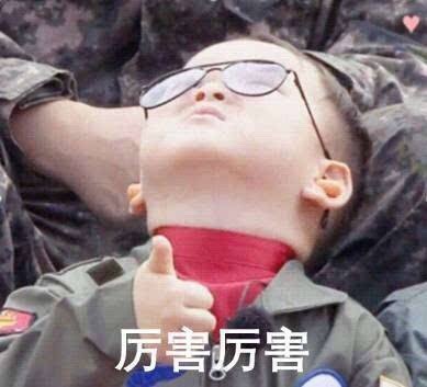 年12月28日热门表情合辑