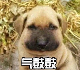 汪星人气鼓鼓表情包来啦