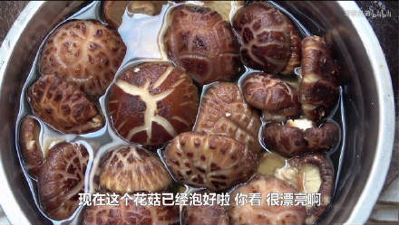 华农兄弟“你好漂亮”表情包合集