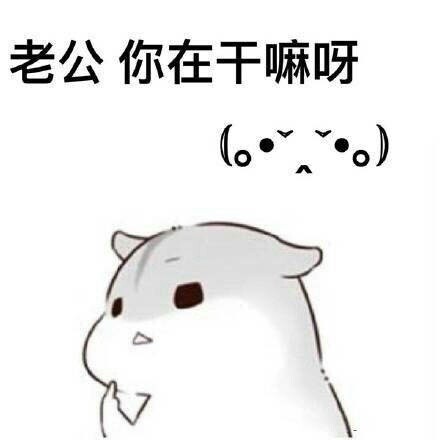 软萌撒娇！ㄇㄚˊ幾兔跟老公撒娇的全套表情包