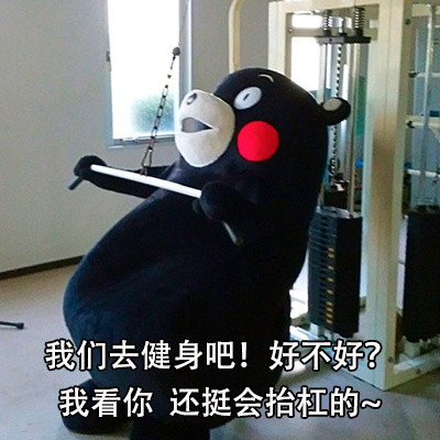 不想跟杠精掰扯？这套熊本熊怼人表情包帮你优雅回怼