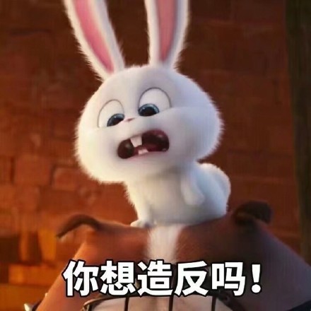 《爱宠大机密》小白兔表情包来啦，聊天斗图用得上