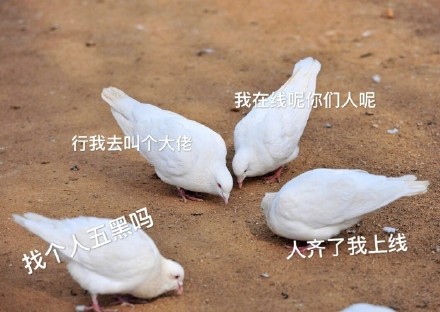 打工人常遇的被放鸽子表情包合集