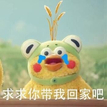 求求你带我回家！这套鹦鹉兄弟表情包太戳人了