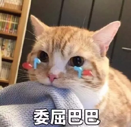 一脸委屈的猫猫表情包合集