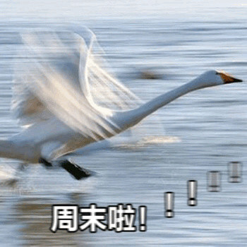 终于等到周末啦！