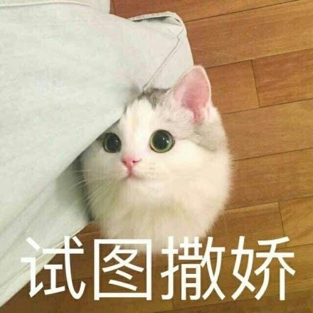 撸猫党狂喜！这套喵星人萌系表情包直接戳中心窝子