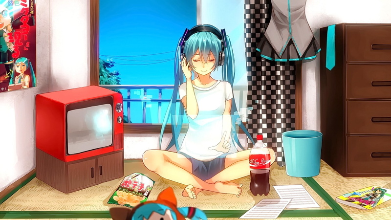 这是一张初音未来的动漫壁纸哦