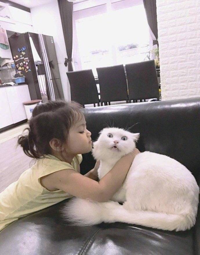 没被女孩子亲过？这套猫咪表情包帮你把紧张感拉满