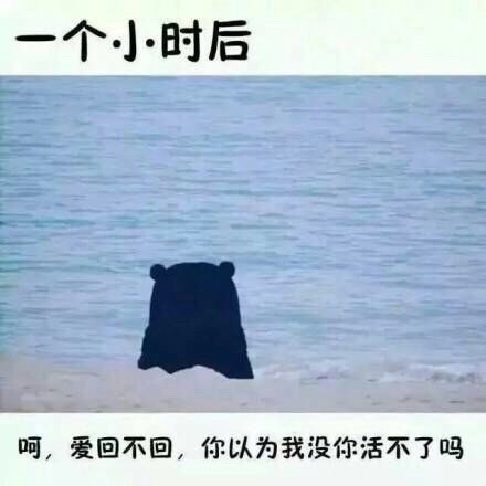 暗恋对象不回消息？这套熊本熊表情包太懂你了