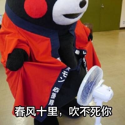 熊本熊版现代诗集表情包火了