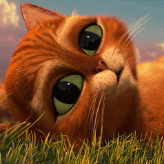 可爱到犯规！穿靴子的猫专属动图表情包合集