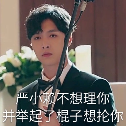 张艺兴求婚大作战表情包合集