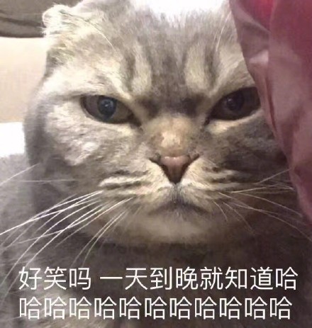 现在整理一下这篇新闻稿的重写，严格按照要求来：
