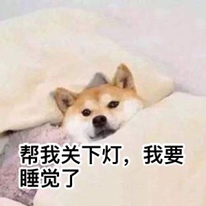 要说汪星人里最讨喜的，还得是doge