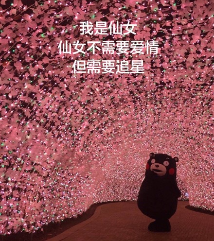 追星前后的我反差有多大？这套熊本熊表情包太真实了