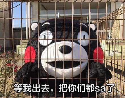 等我出去，我要把你们...熊本熊表情包合集