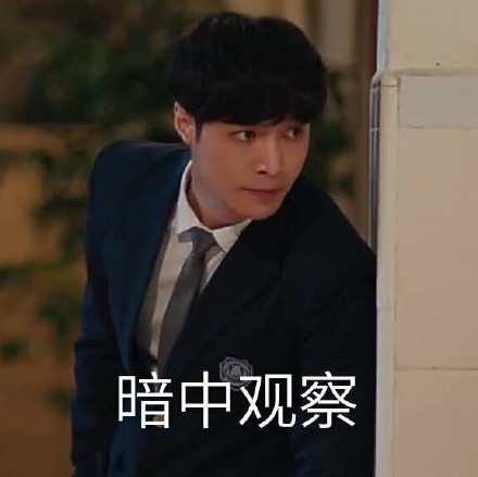 张艺兴求婚大作战表情包合集