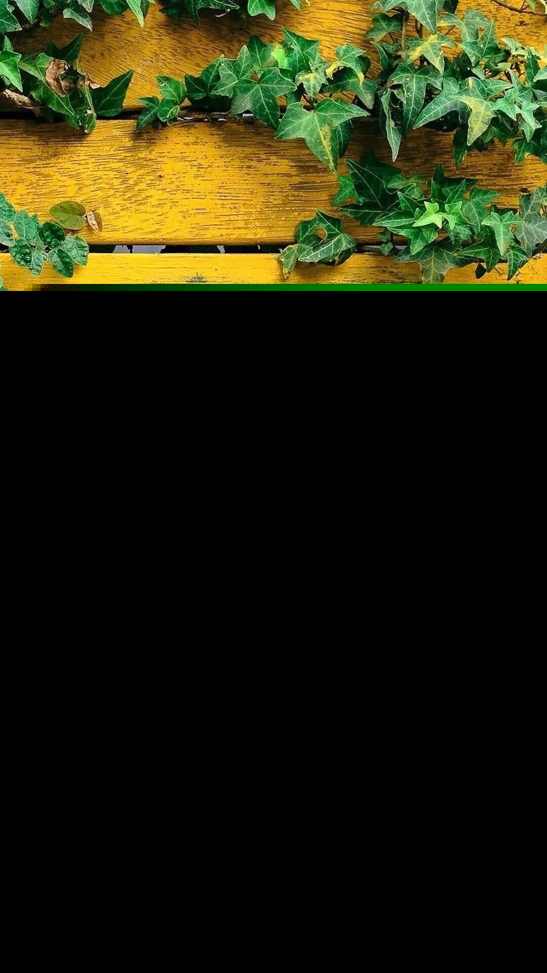 整理好了！近期热门手机壁纸合集来啦