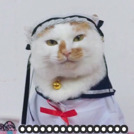 自带反差感！这组花脸猫咪表情包太适合斗图了