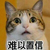 超实用！这套猫咪表情包帮你精准表达情绪