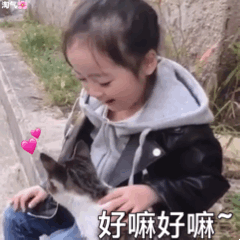 权律二撸猫表情包合集来啦