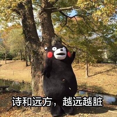 熊本熊版现代诗集表情包火了