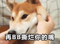 二狗式嘲笑表情包来啦，斗图又有新素材了