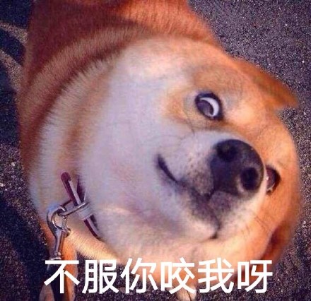 聊天怼人神器！瞪眼Doge表情包合集