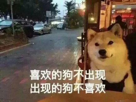 单身狗专属emo表情包来啦！这份合集用调侃的语气唱出了单身深夜的迷茫情绪，还搭配了多组适配斗图的趣味表情。