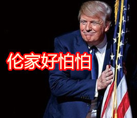 特朗普川普专属表情包合集