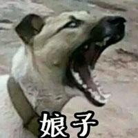 情侣互动感拉满！这套“娘子 啊哈”表情包太适合拌嘴秀恩爱了