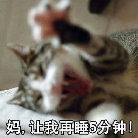 原来大家都在用这些喊妈的表情包！