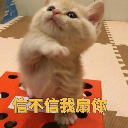 聊天斗图必备！这套小橘猫表情包太有意思了