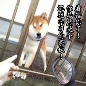 爱学习的Doge表情包合集