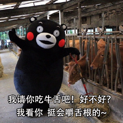 不想跟杠精掰扯？这套熊本熊怼人表情包帮你优雅回怼