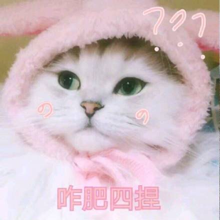粉嘟嘟少女心猫咪表情包来啦