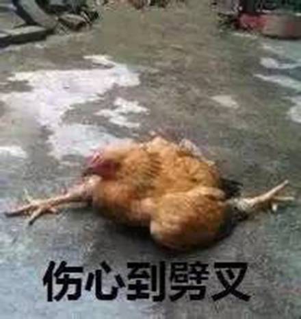 鸡哥这套表情包，主打一个社会感