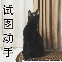 养猫斗图党看过来！这套小猫惊恐表情包太好用了