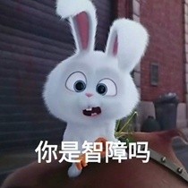 《爱宠大机密》兔子表情包合集